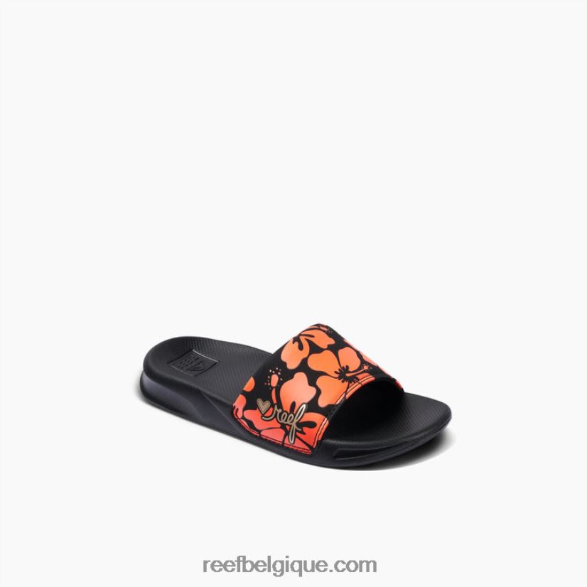 Reef corail hibiscus enfants une diapositive 2H4Z0V890