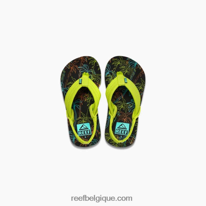 enfants Reef palmier néon petit ahi 2H4Z0V835
