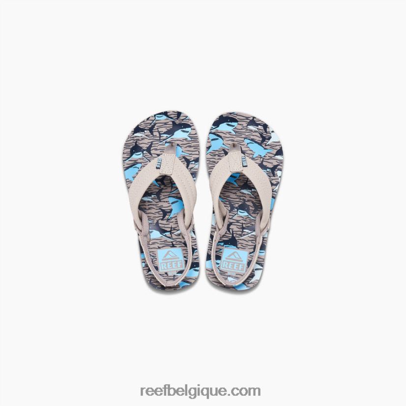 enfants Reef requins bronzés petit ahi 2H4Z0V829