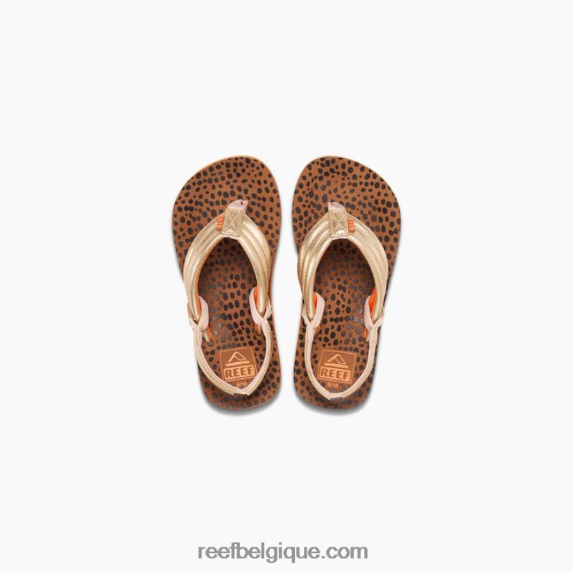 enfants Reef sauvage petit ahi 2H4Z0V863