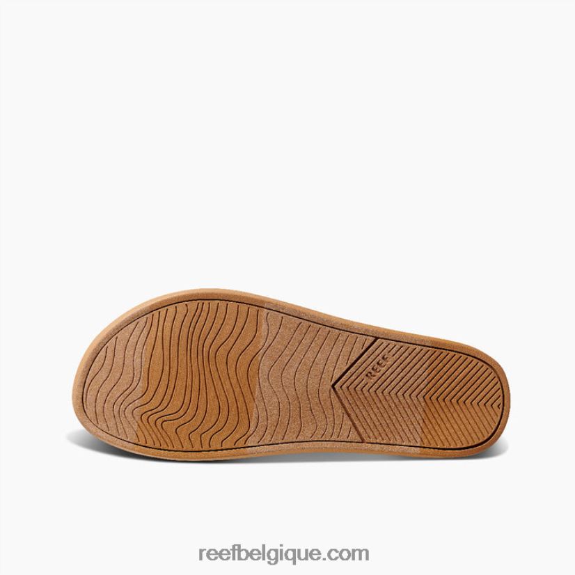 femmesantique coussin récif sauge 2H4Z0V233