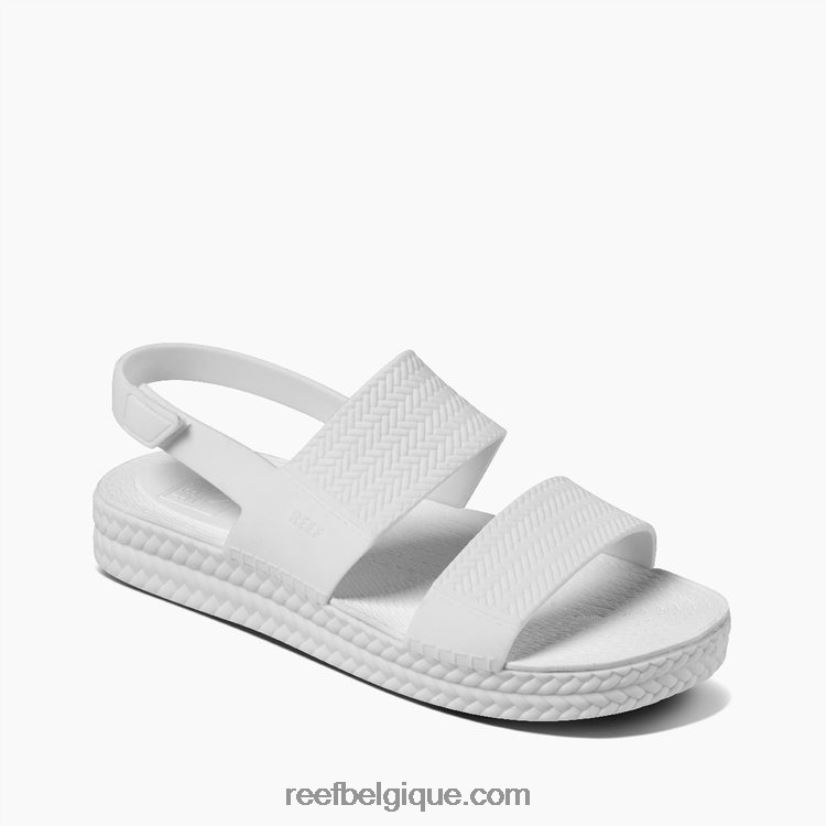 femmesblanc vue sur l'eau du récif 2H4Z0V21