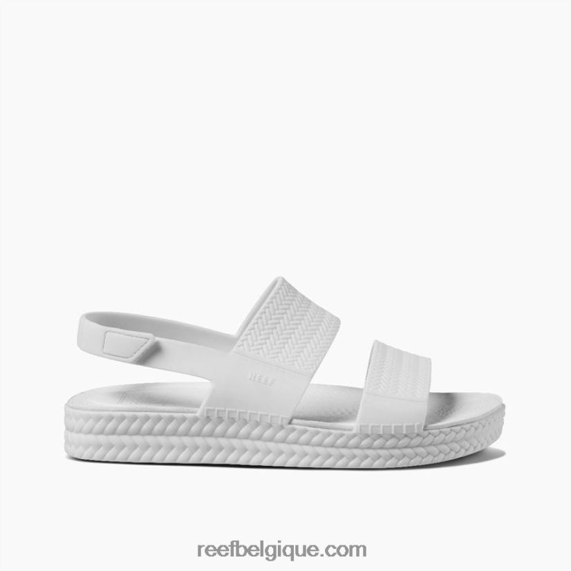 femmesblanc vue sur l'eau du récif 2H4Z0V21