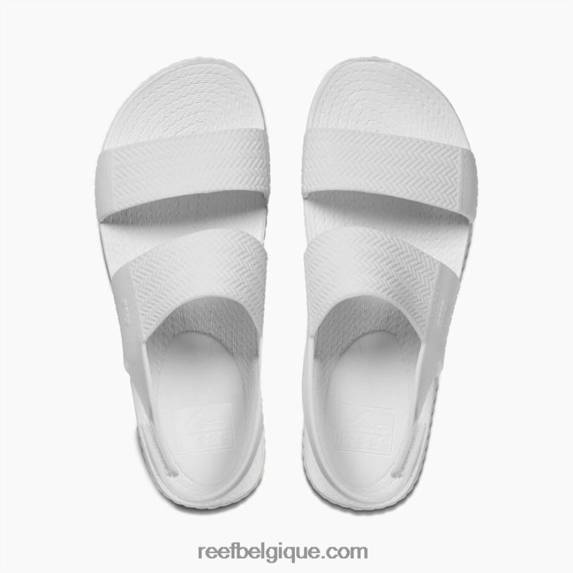 femmesblanc vue sur l'eau du récif 2H4Z0V21