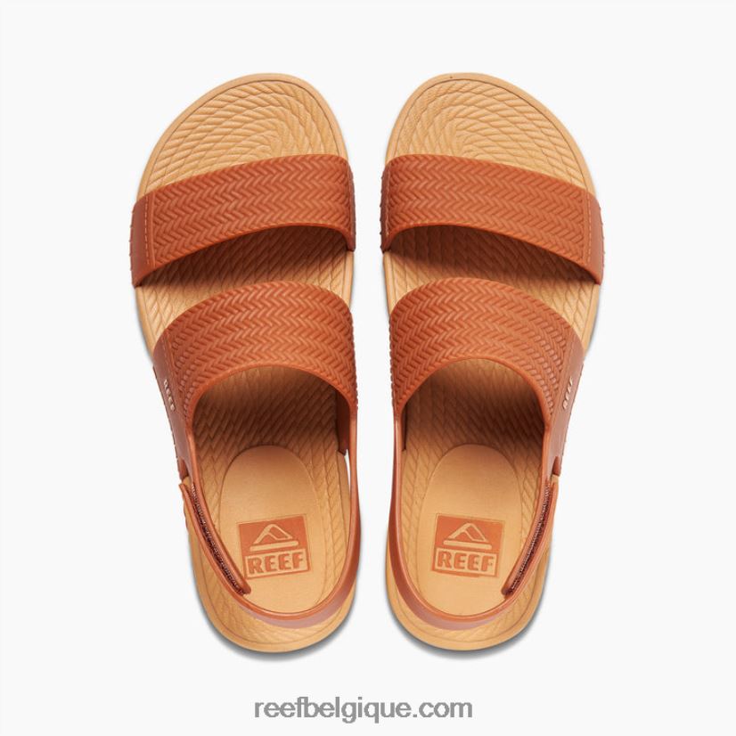 femmesbrunette vue sur l'eau du récif 2H4Z0V157