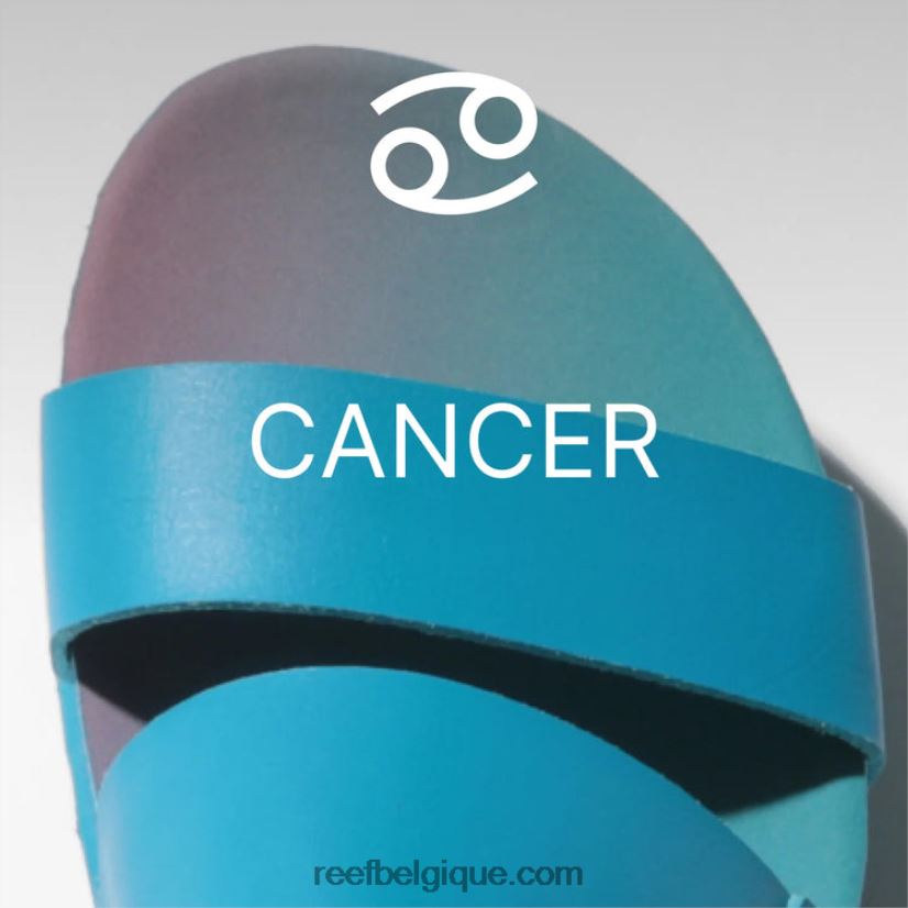 femmescancer coussin récif x sanctuaire vista salut 2H4Z0V162