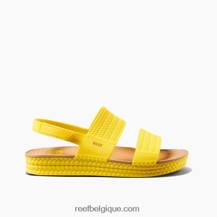 femmesensoleillé vue sur l'eau du récif 2H4Z0V115