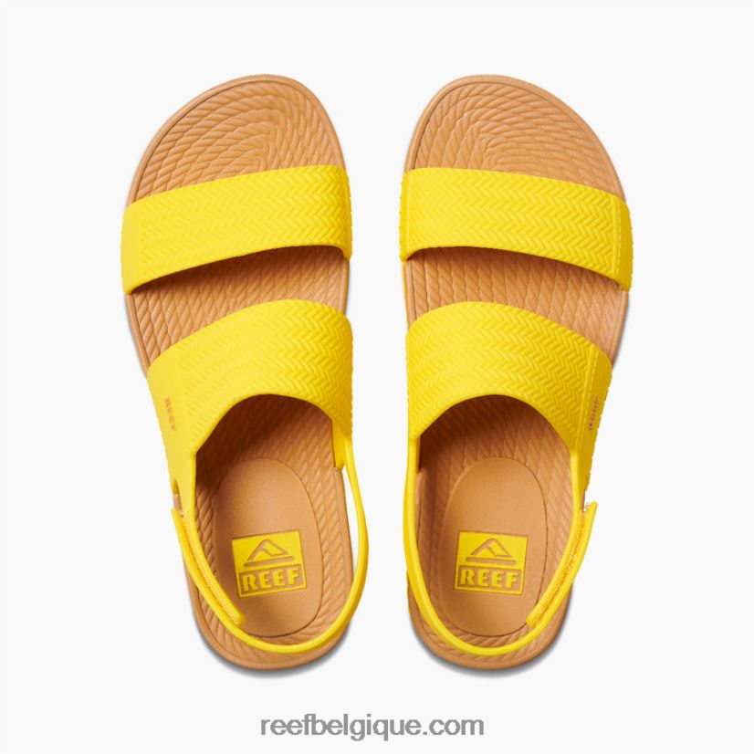 femmesensoleillé vue sur l'eau du récif 2H4Z0V115