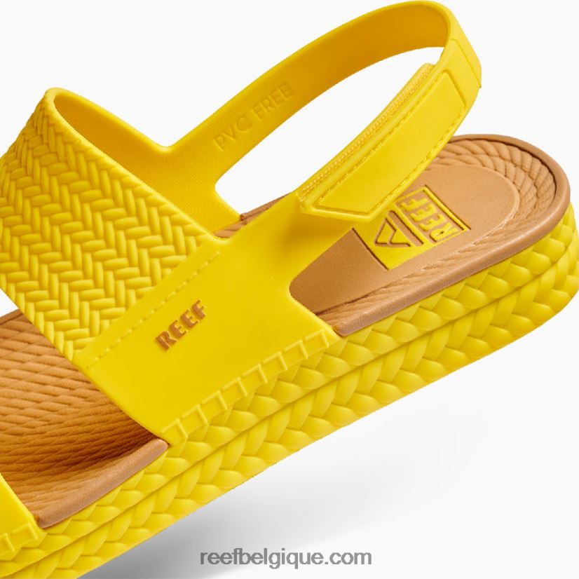 femmesensoleillé vue sur l'eau du récif 2H4Z0V115