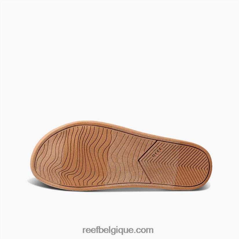 femmeshorizon rose coussin récif sauge 2H4Z0V231