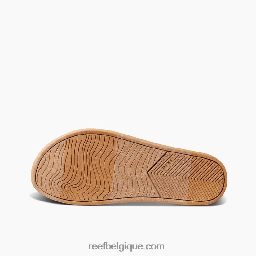 femmesnoir poussiéreux coussin récif sauge 2H4Z0V230