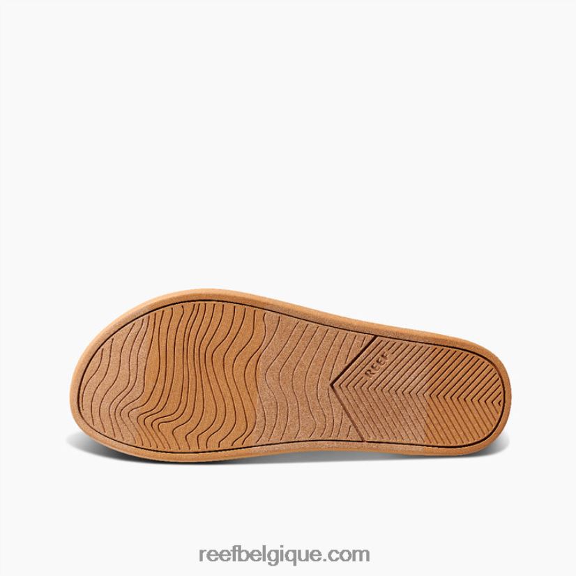 femmesorme coussin récif sauge 2H4Z0V235