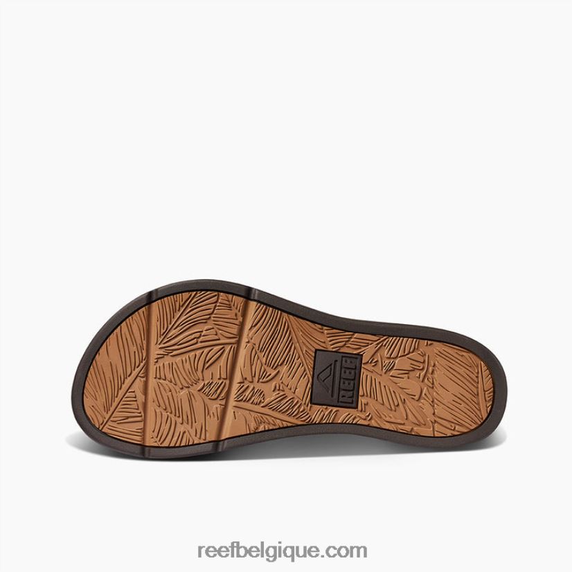 femmes Reef Expresso Santa Ana 2H4Z0V151