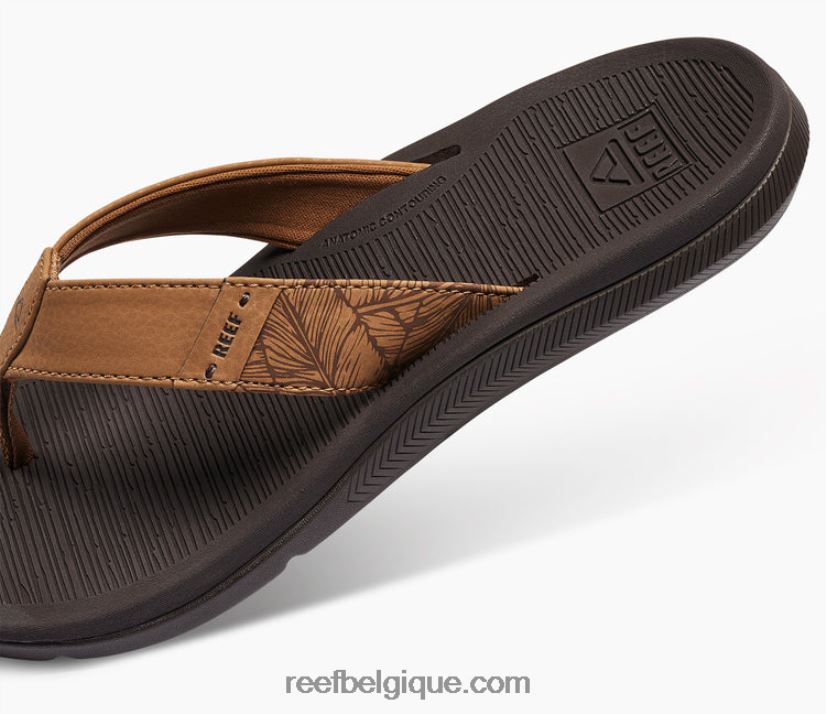 femmes Reef Expresso Santa Ana 2H4Z0V151