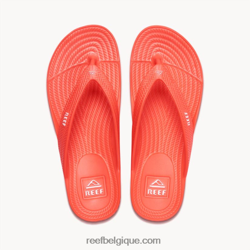 femmes Reef coquelicot néon cour d'eau 2H4Z0V107