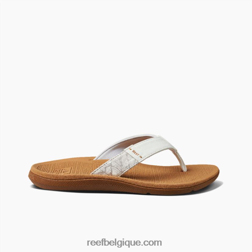 femmes Reef nuage Santa Ana 2H4Z0V60