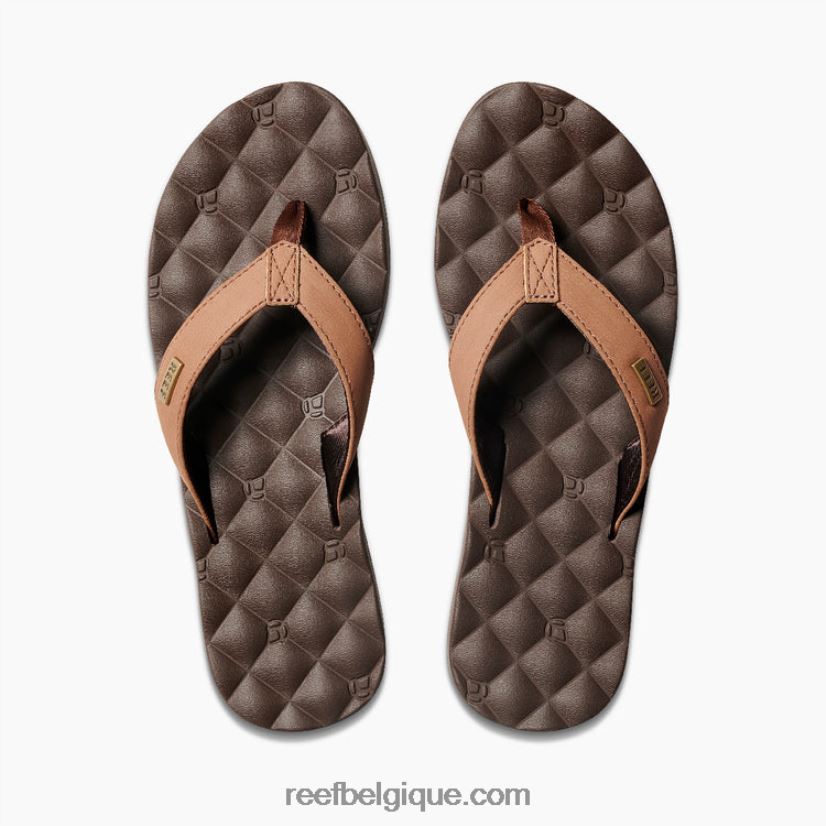 femmesbrun rêves de récif 2H4Z0V67