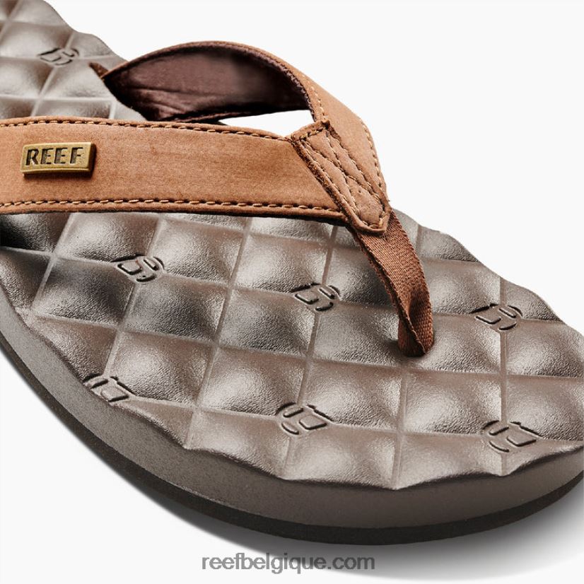 femmesbrun rêves de récif 2H4Z0V67