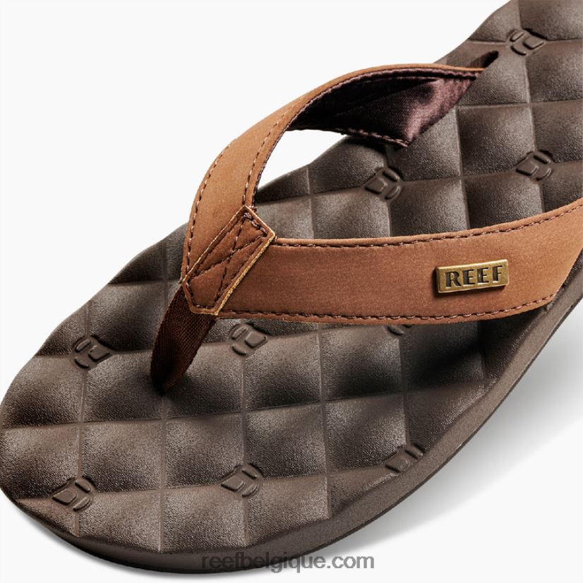 femmesbrun rêves de récif 2H4Z0V67