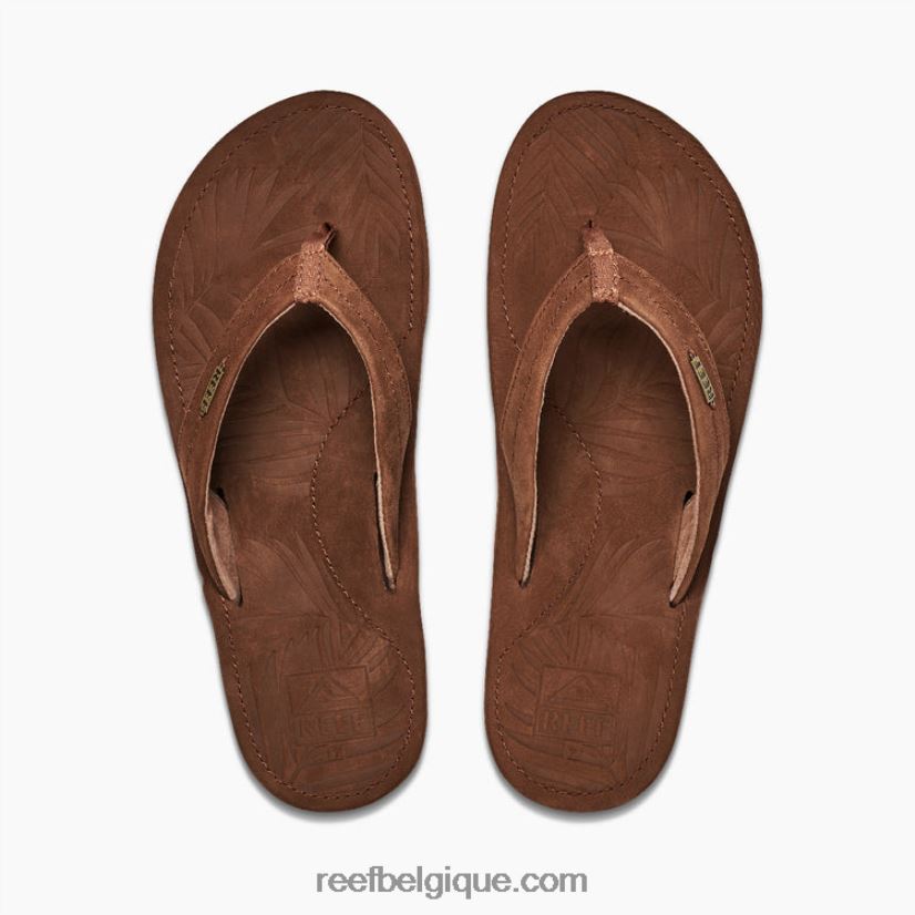 femmescafé cuir à la dérive de récif 2H4Z0V210