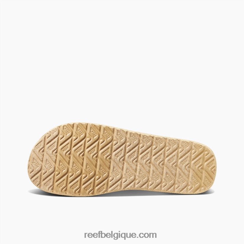 femmesfierté originaux de récif 2H4Z0V194