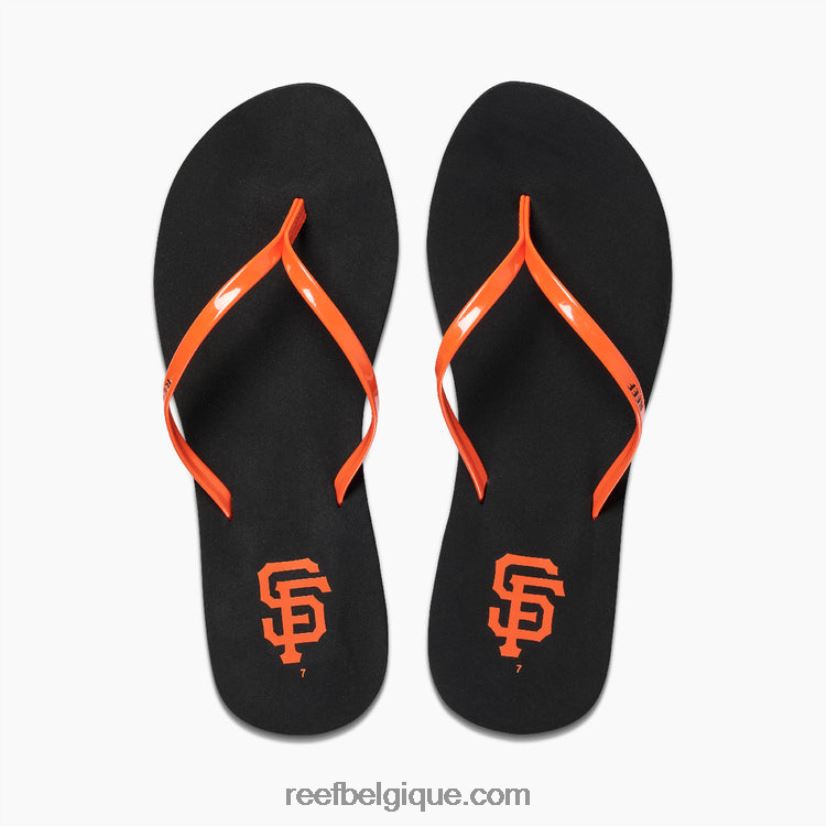 femmesgéants bonheur de récif x mlb 2H4Z0V207