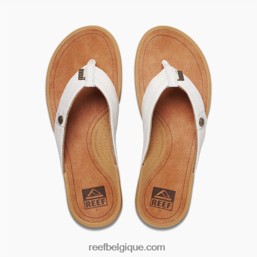 femmesnuage récif pacifique 2H4Z0V120