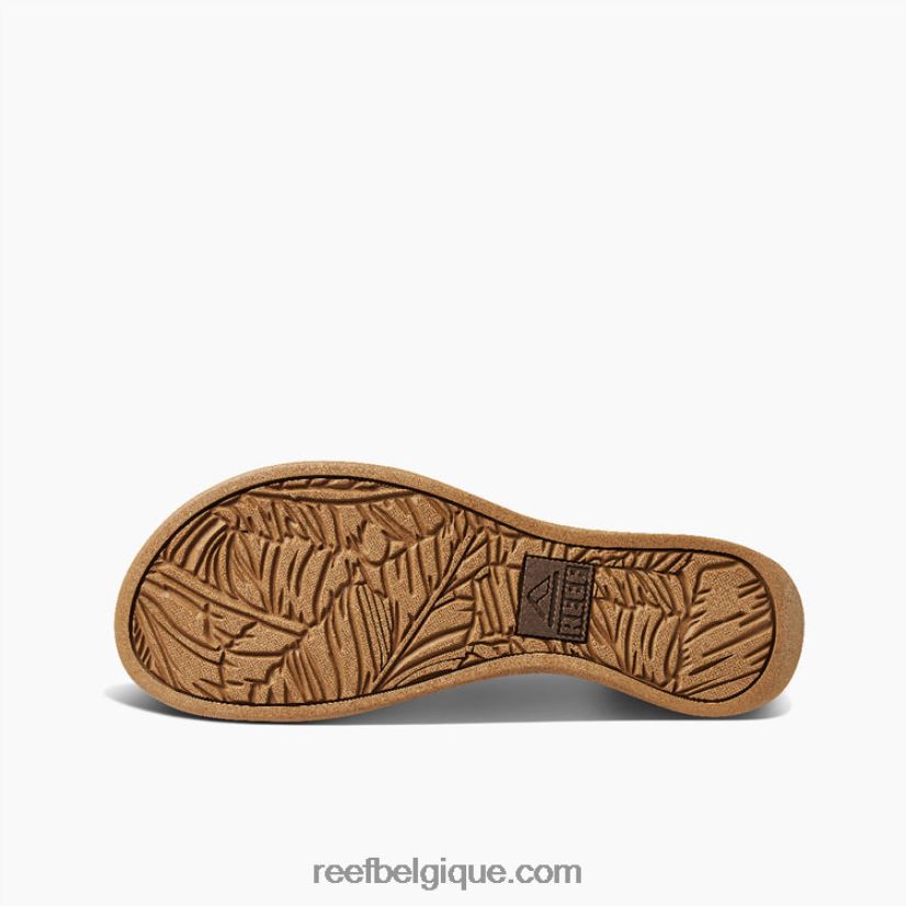 femmesnuage récif pacifique 2H4Z0V120