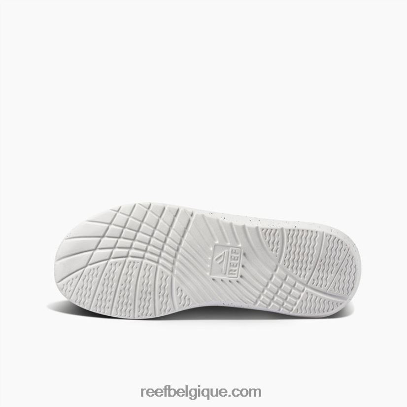 Hommes Reef gris jetée de swellsole 2H4Z0V494