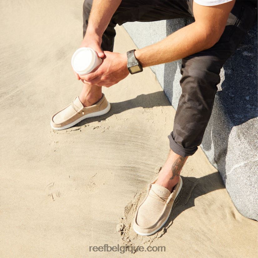 Hommesbronzer côte de coussin de récif 2H4Z0V511