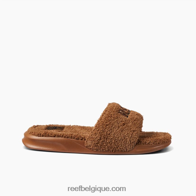 Hommes Reef le tabac une diapositive 2H4Z0V459