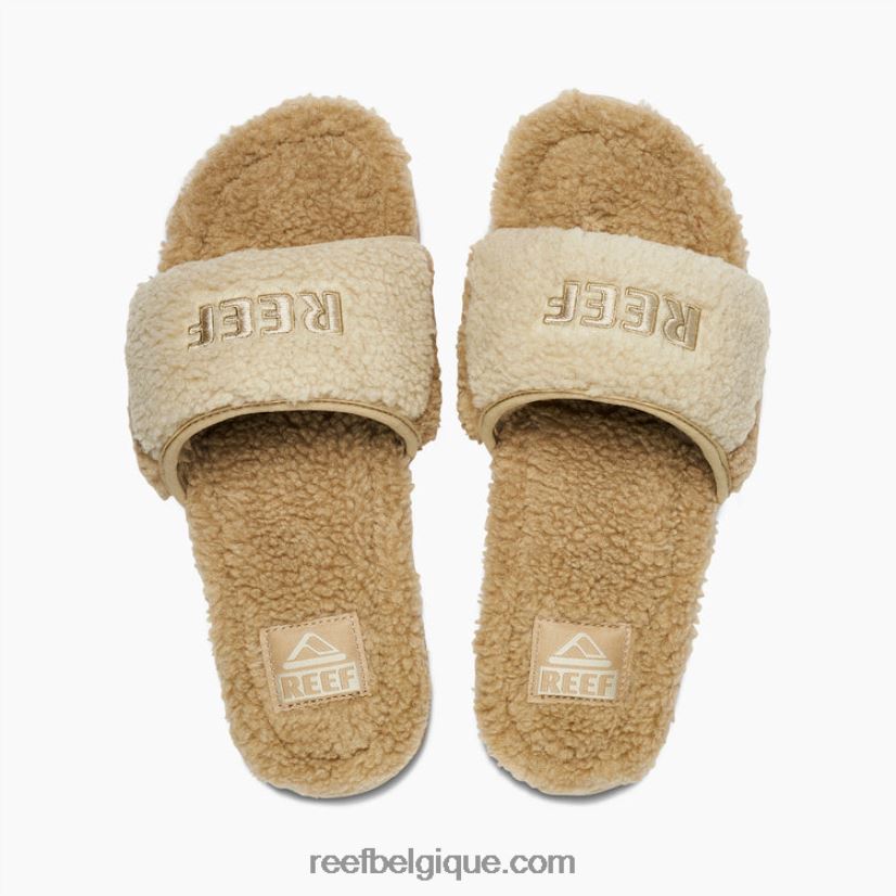 Hommes Reef sable une diapositive 2H4Z0V458