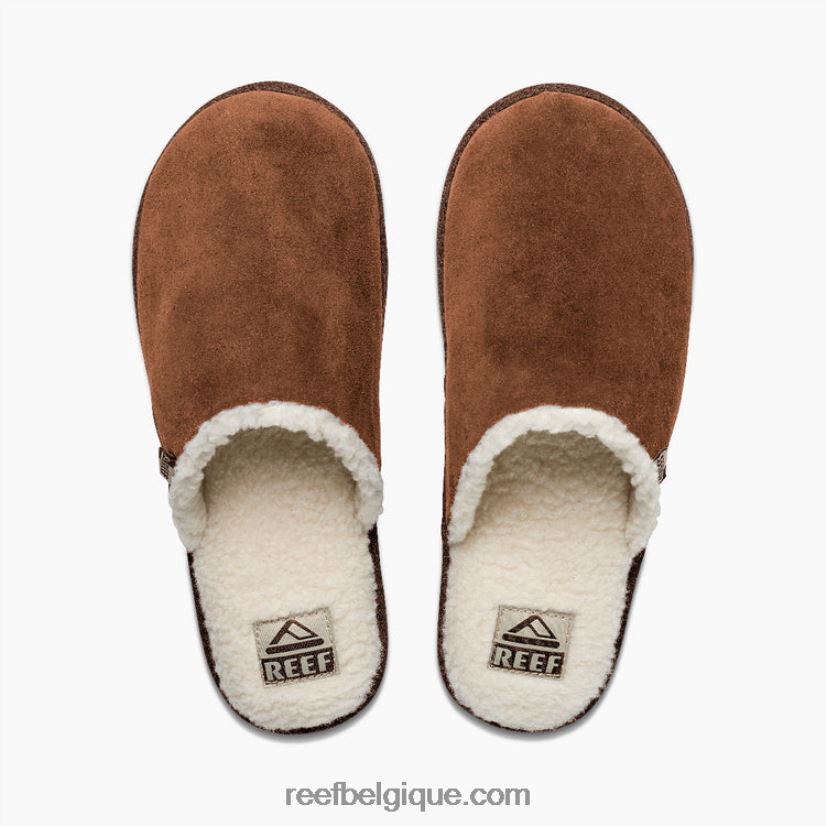 Hommesbronzer planeur de récif 2H4Z0V552