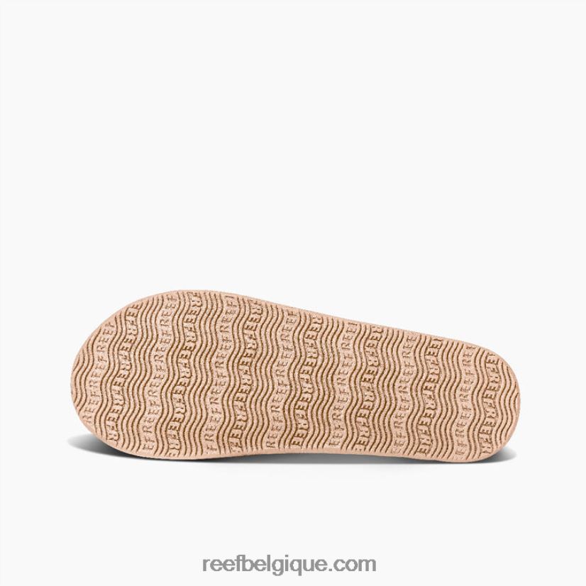 Hommesbronzer planeur de récif 2H4Z0V552