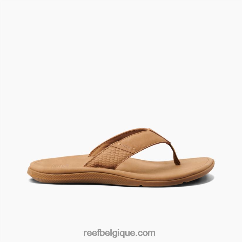 Hommes Reef bronzer cuir santa ana 2H4Z0V318