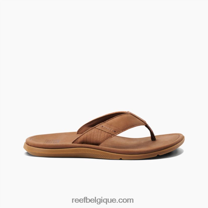 Hommes Reef brun cuir santa ana 2H4Z0V351