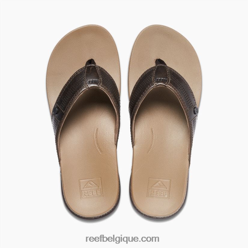 Hommes Reef java fossile coussin luxe 2H4Z0V402