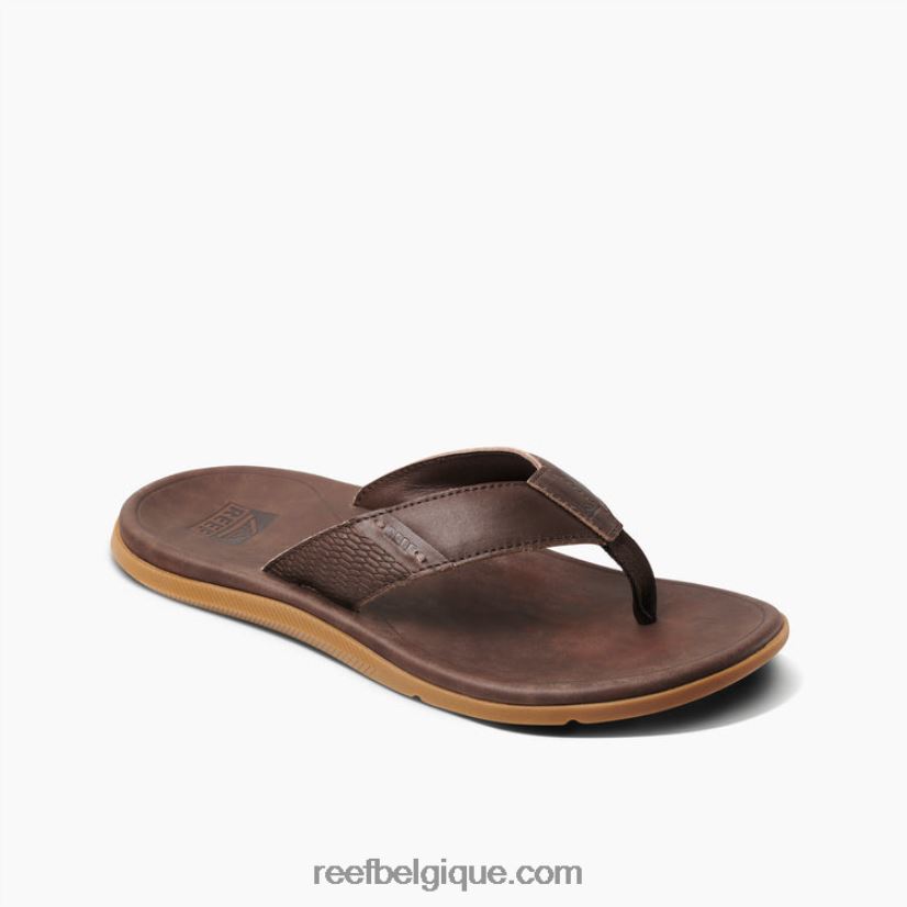 Hommes Reef marron foncé cuir santa ana 2H4Z0V365