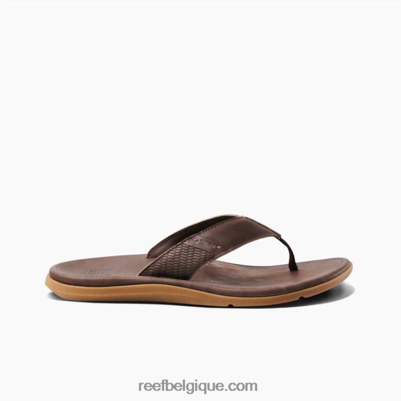 Hommes Reef marron foncé cuir santa ana 2H4Z0V365