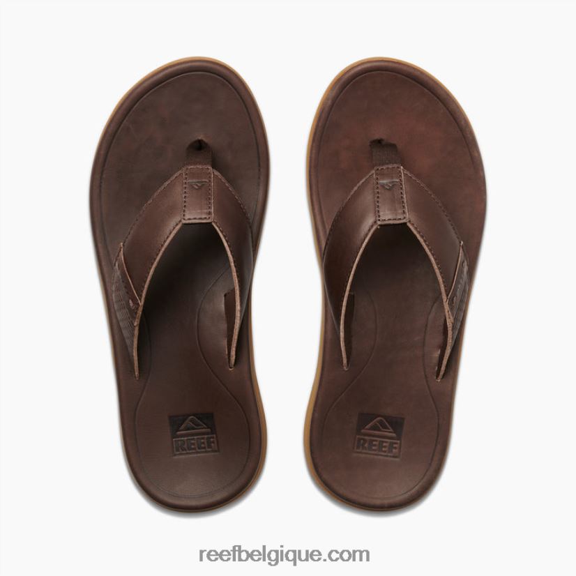 Hommes Reef marron foncé cuir santa ana 2H4Z0V365