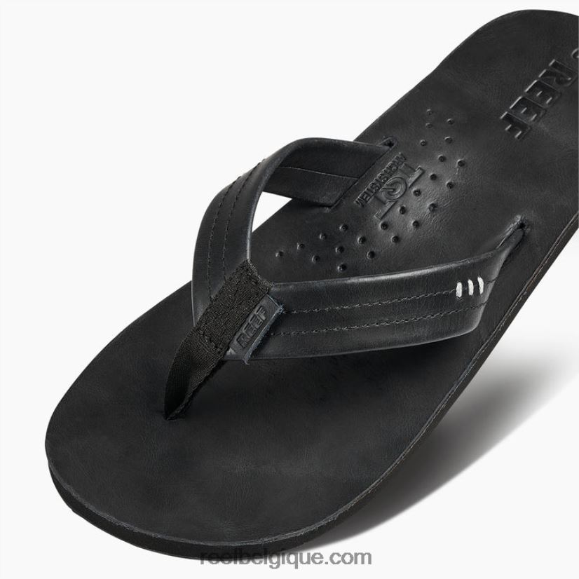 Hommesbalsamique dessinateurs de récifs 2H4Z0V465