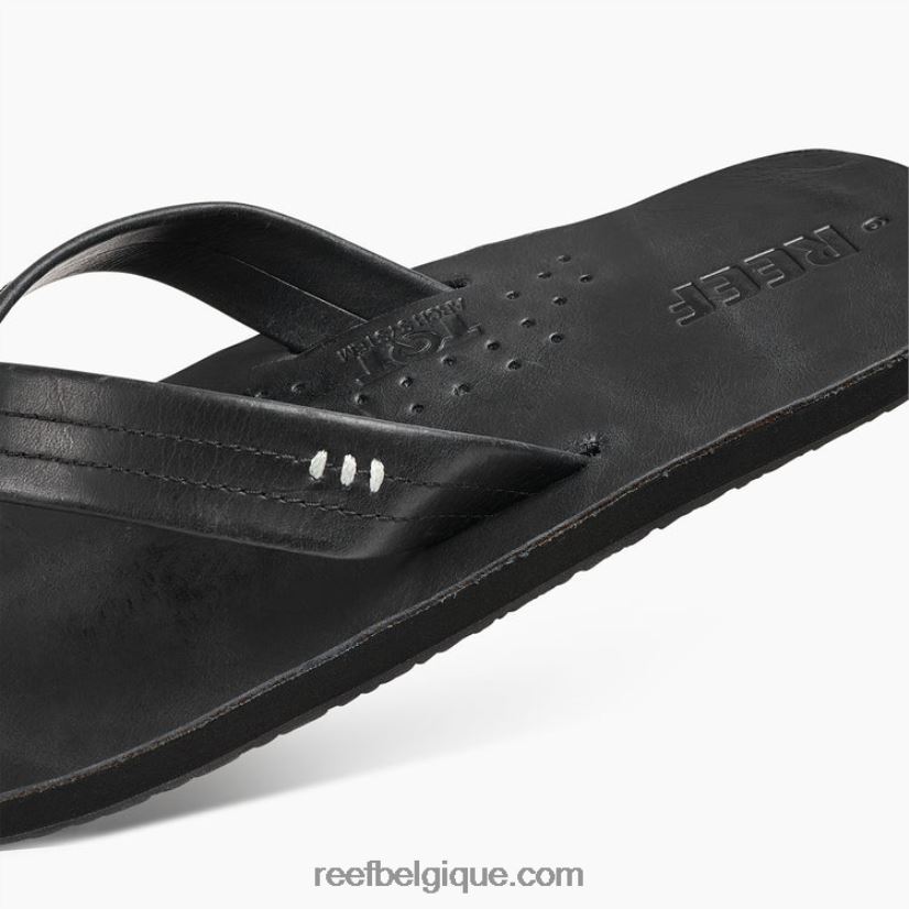 Hommesbalsamique dessinateurs de récifs 2H4Z0V465