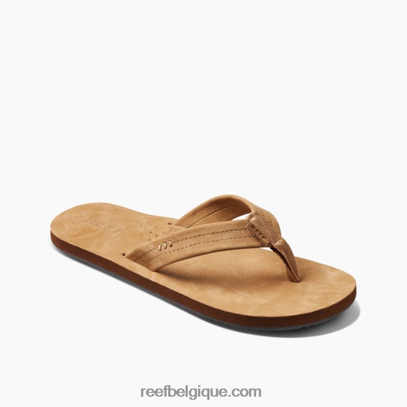 Hommesbronzage classique dessinateurs de récifs 2H4Z0V343