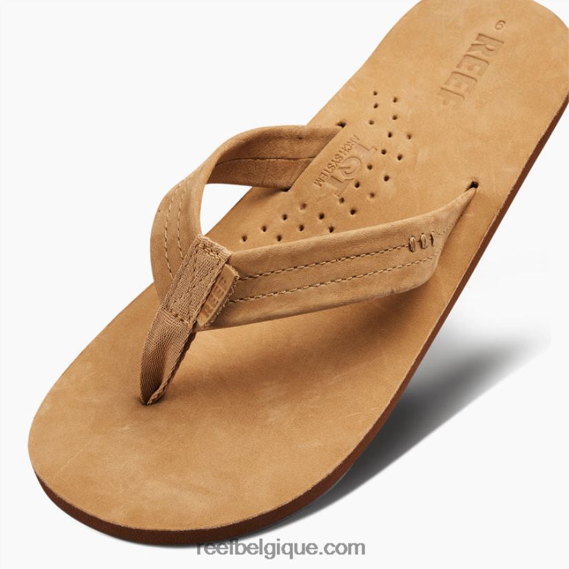 Hommesbronzage classique dessinateurs de récifs 2H4Z0V343