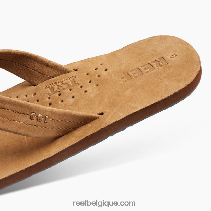 Hommesbronzage classique dessinateurs de récifs 2H4Z0V343