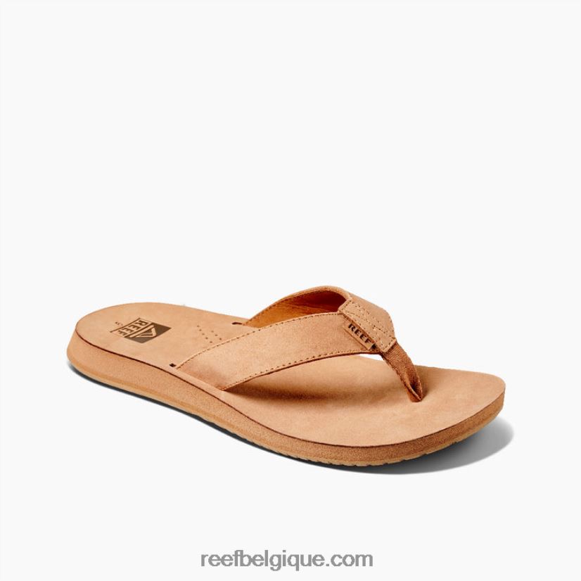 Hommesbronzer dérive de récif classique 2H4Z0V446