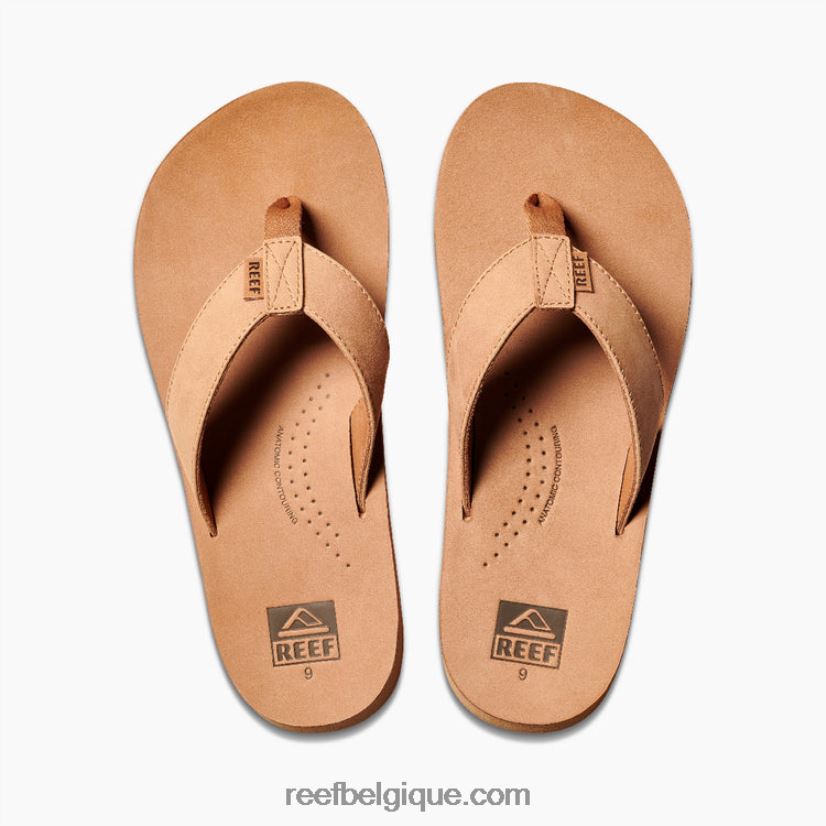 Hommesbronzer dérive de récif classique 2H4Z0V446