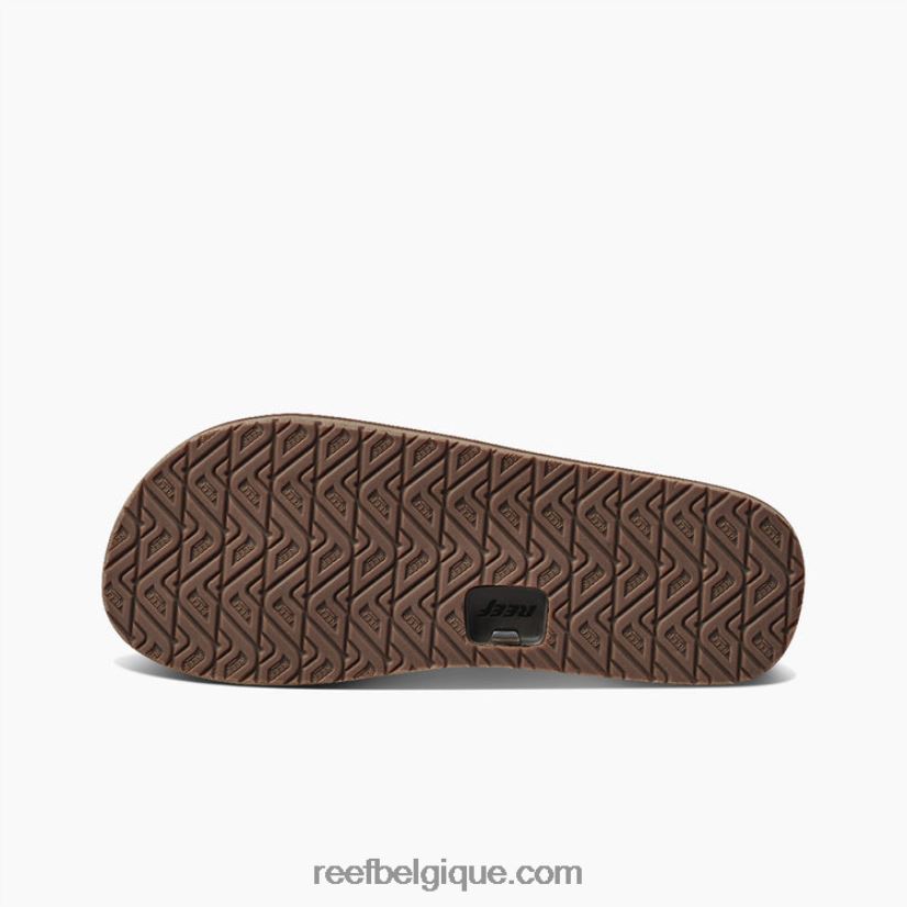 Hommesbrun bronzé dessinateurs de récifs 2H4Z0V322