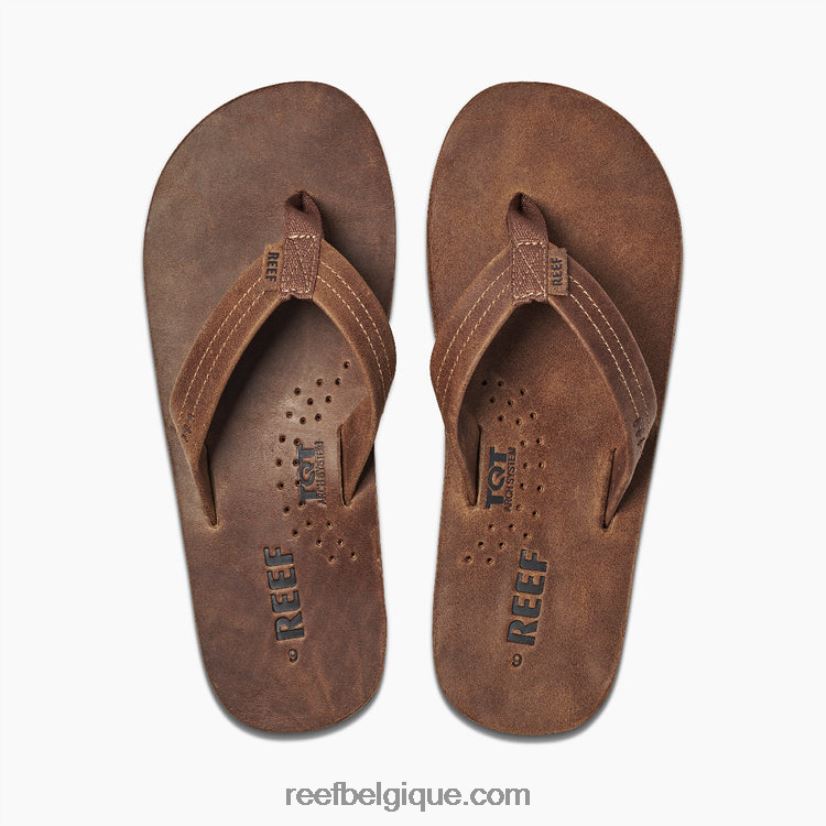 Hommesbrun bronzé dessinateurs de récifs 2H4Z0V322