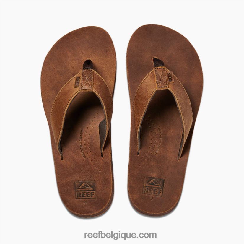 Hommesbrun dérive de récif classique 2H4Z0V334